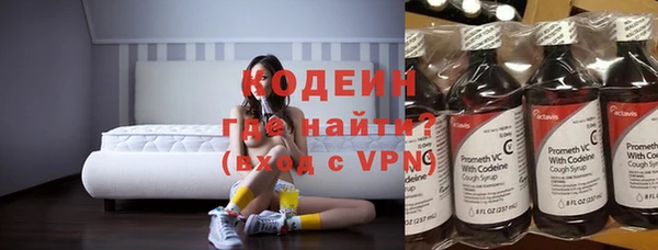 СК Новозыбков