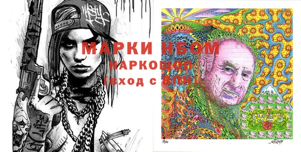 СК Новозыбков