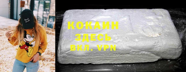 СК Новозыбков