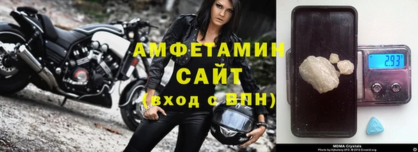 СК Новозыбков