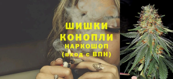 СК Новозыбков
