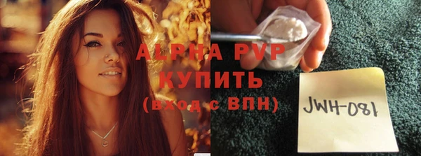 СК Новозыбков