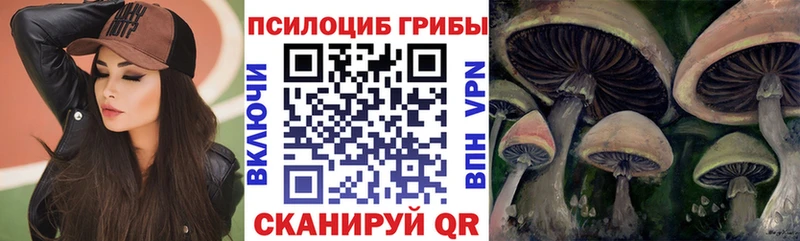 Псилоцибиновые грибы Psilocybe Ревда