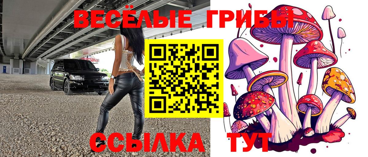 Галлюциногенные грибы GOLDEN TEACHER  Галлюциногенные грибы Cubensis  Ревда  Вход с VPN 